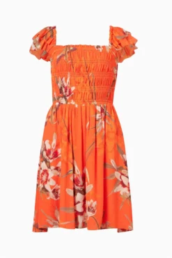 All Saints AllSaints Orange Malika Dorada Dress -ALLSAINTS Sales unnamed file 1312 scaled